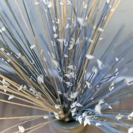 Sunny Island Comfortable * Юлиусрух