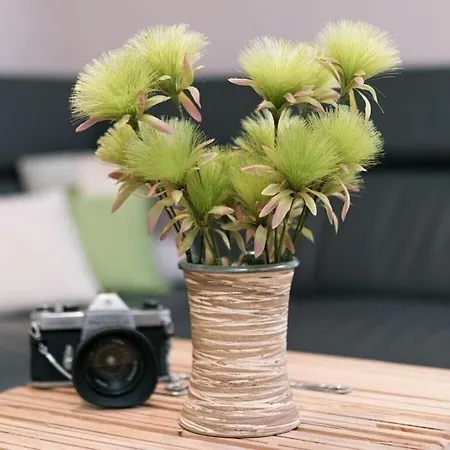 Sunny Island Comfortable Дом отдыха Юлиусрух